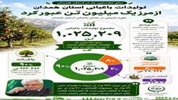تولیدات باغبانی استان همدان از مرز یک میلیون تن در سال عبور کرد